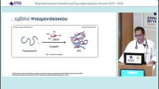 ΣΤΑΥΡΟΥΛΑΚΗΣ-20241009